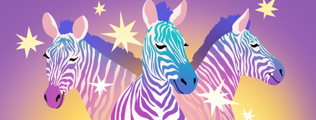 Three zebras with purple and blue coloring smile proudly as stars surround them.