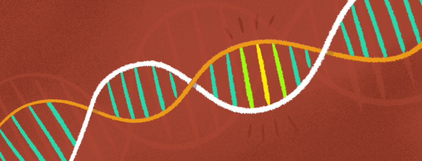 A segment of DNA is highlighted.